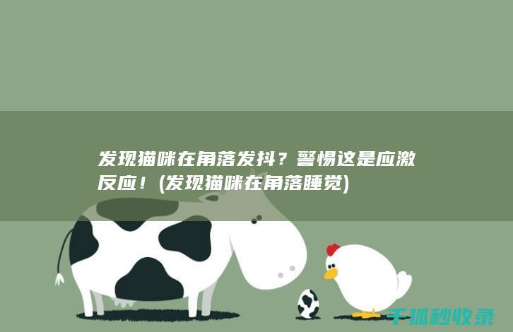 发现猫咪在角落发抖？警惕这是应激反应！ (发现猫咪在角落睡觉)