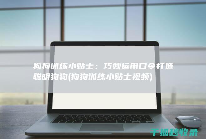 狗狗训练小贴士：巧妙运用口令打造聪明狗狗 (狗狗训练小贴士视频)