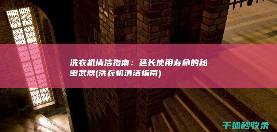 洗衣机清洁指南：延长使用寿命的秘密武器 (洗衣机清洁指南)