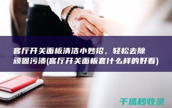 客厅开关面板清洁小妙招，轻松去除顽固污渍 (客厅开关面板套什么样的好看)