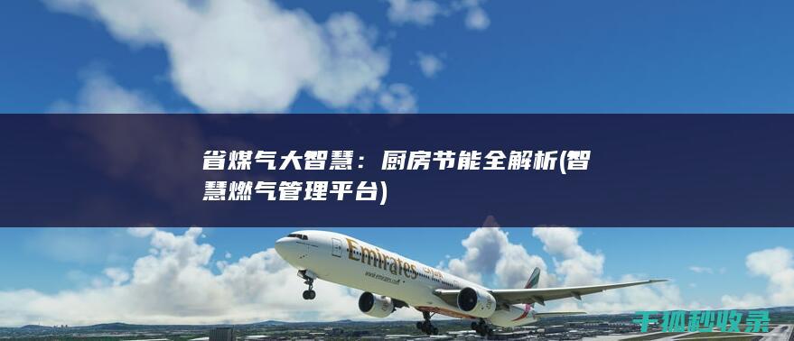 省煤气大智慧：厨房节能全解析 (智慧燃气管理平台)