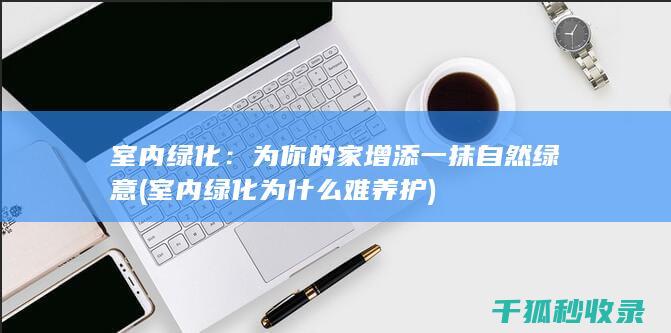 室内绿化：为你的家增添一抹自然绿意 (室内绿化为什么难养护)