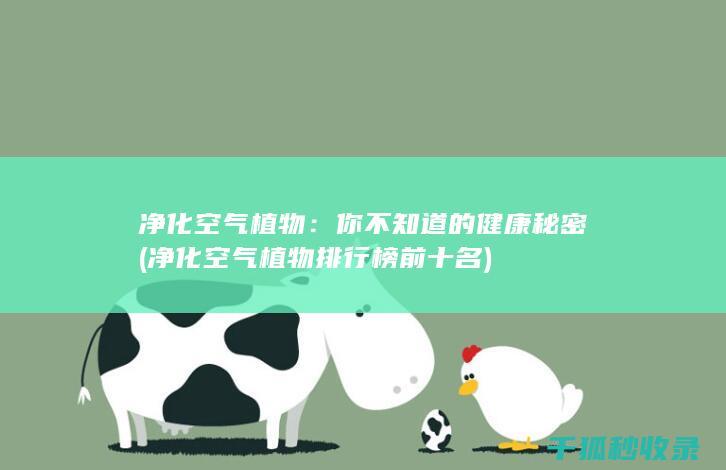净化空气植物：你不知道的健康秘密 (净化空气植物排行榜前十名)