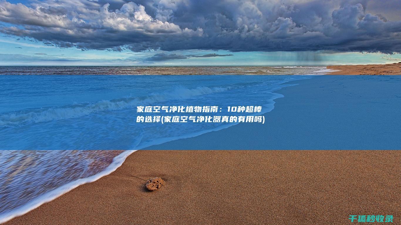 家庭空气净化植物指南：10种超棒的选择 (家庭空气净化器真的有用吗)