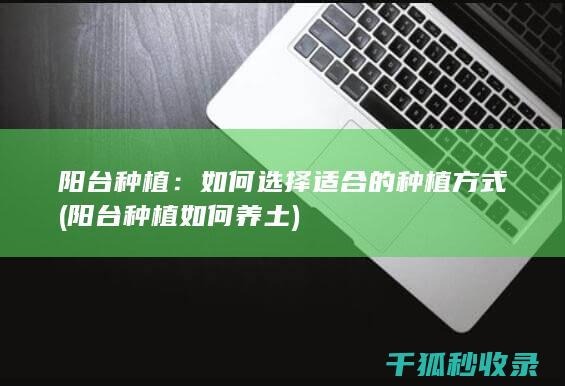 阳台种植：如何选择适合的种植方式 (阳台种植如何养土)