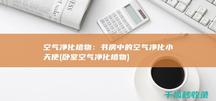 空气净化植物：书房中的空气净化小天使 (卧室空气净化植物)