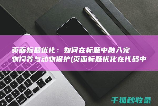 页面标题优化：如何在标题中融入宠物饲养与动物保护 (页面标题优化在代码中的标记为)