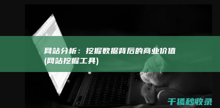 网站分析：挖掘数据背后的商业价值 (网站挖掘工具)