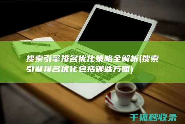 搜索引擎排名优化策略全解析 (搜索引擎排名优化包括哪些方面)