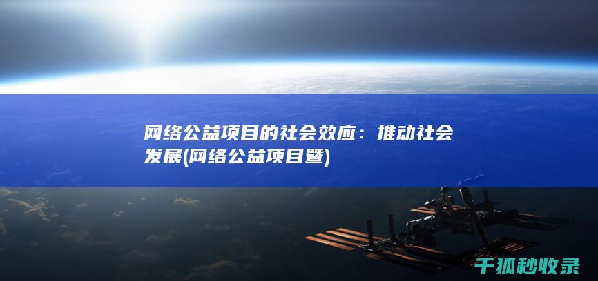 网络公益项目的社会效应：推动社会发展 (网络公益项目暨)