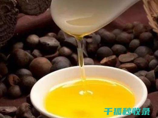 食用油消毒：健康饮食从这里开始 (食用油消毒灭菌设备生产厂家)