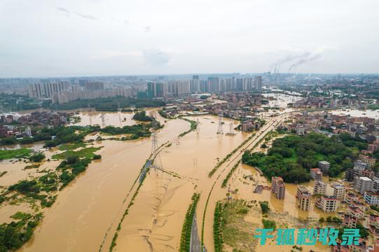 洪水来袭时的自救指南：关键步骤与实用技巧 (洪水来袭时的顽强坚守)