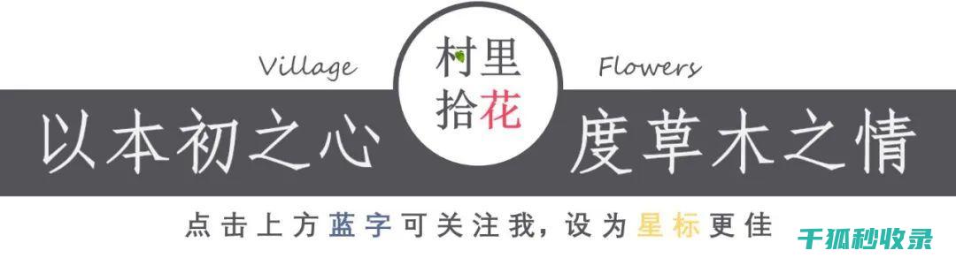 地倒设施与宠物领养日：爱心传递的活动 (倒置地形什么意思)