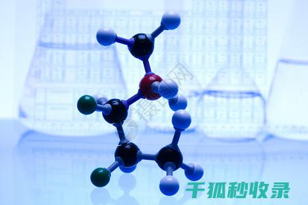 化学品存放规范要点，助力仓储安全 (化学品存放规范最新版)