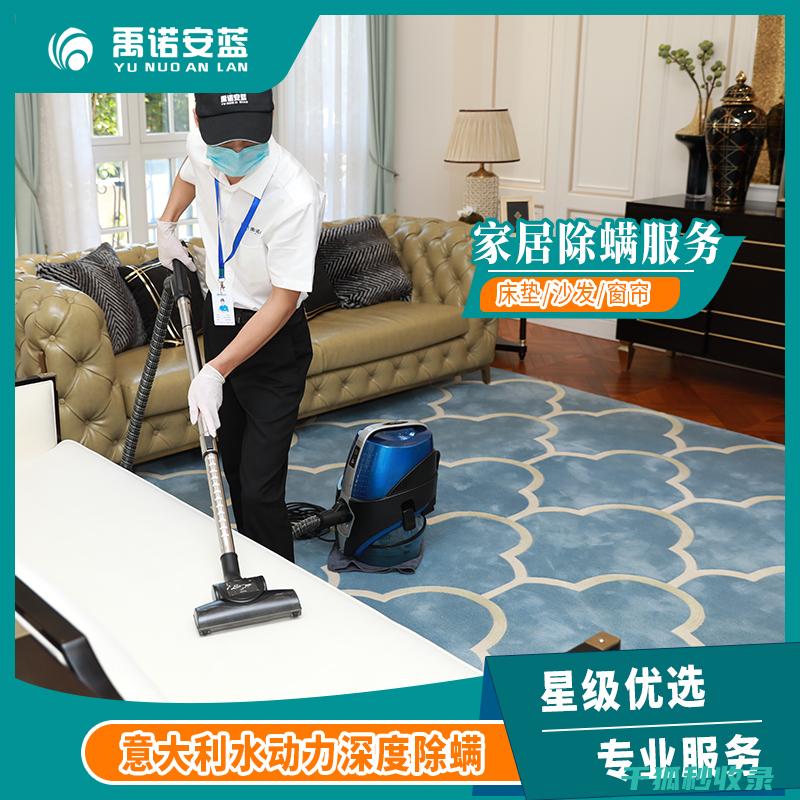 地毯除螨大比拼：谁才是最有效的 (地毯除螨大比例是多少)