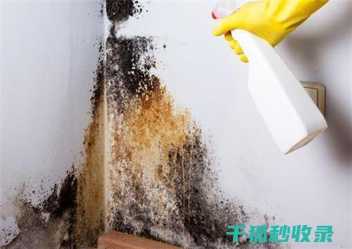 墙面污渍处理：使用啤酒清洁墙面的独特功效 (墙面污渍处理方法)
