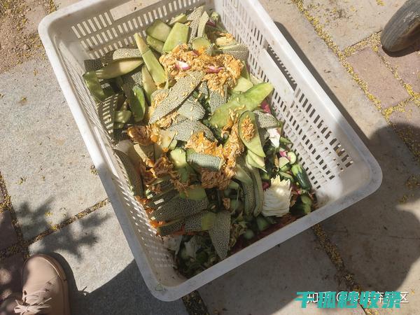 厨余堆肥：让家庭垃圾变成植物肥料 (厨余堆肥怎么用)