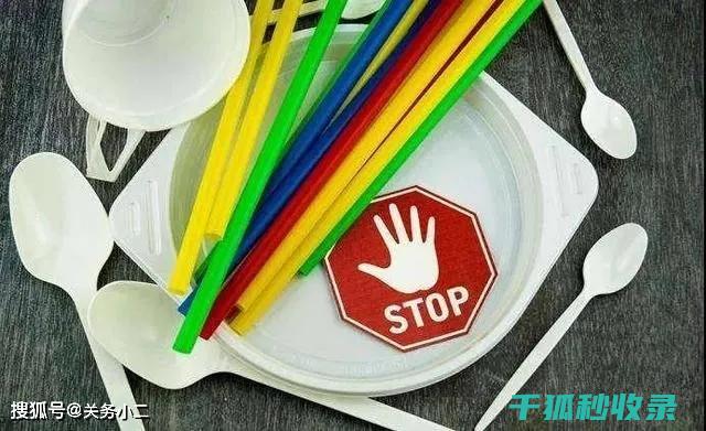 减少塑料使用：用行动创造绿色未来 (减少塑料使用的图片)