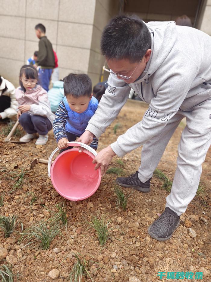 植树节：让绿色成为生活的常态 (植树节绿色让生活更美好)