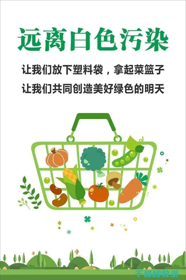 减少塑料使用：用行动创造更美好的家园 (减少塑料使用的措施)