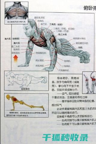 应季健身计划：秋季健身减肥计划 (夏季健身计划)