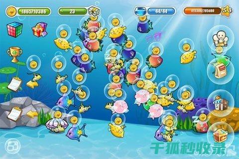 水族箱清洁心得：保持水质稳定的重要经验 (水族箱清洁心得怎么写)