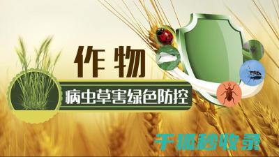 植物病虫害防治：从理论到实践的完整教程 (植物病虫害防治)