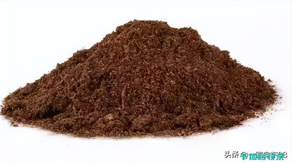 盆栽土壤配比艺术：让植物茁壮成长的秘密武器 (盆栽土壤配比方法)