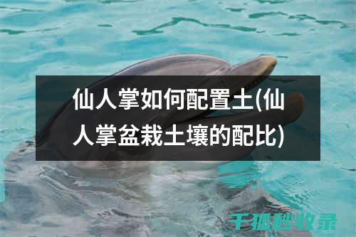 盆栽土壤配比：让植物健康生长的科学依据 (盆栽土壤配比方法)