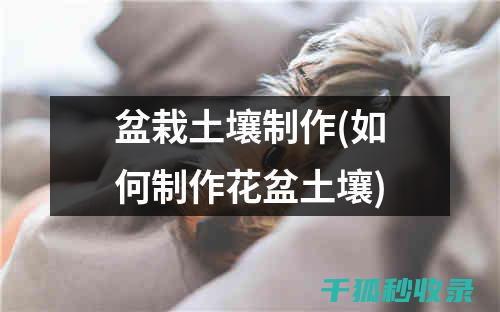 盆栽土壤配比：新手必看：如何调配适合的土壤 (盆栽土壤配比标准)