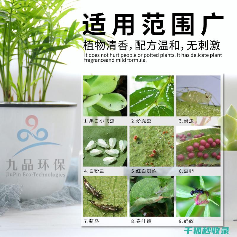 植物驱虫：用天然植物构建家庭防护屏障 (植物驱虫用米醋还是白醋好)