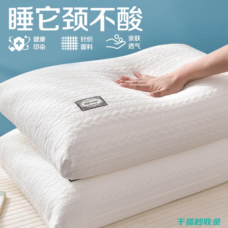 枕头除螨新体验：科技产品带来的便捷与高效 (给枕头除螨)