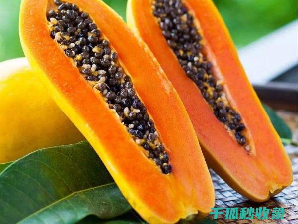 水果催熟背后的科学原理，你了解多少？ (水果催熟什么原理)