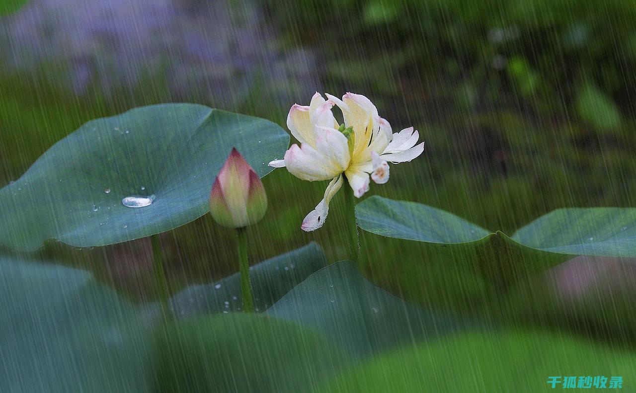 雨刮器清洁技巧：如何让雨刮器保持最佳状态 (雨刮器清洁技巧)
