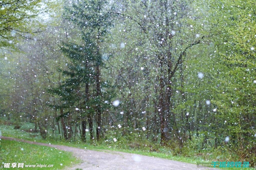 雨刮器清洁技巧：让你的驾驶视野始终保持清晰 (雨刮器脏了怎么洗)