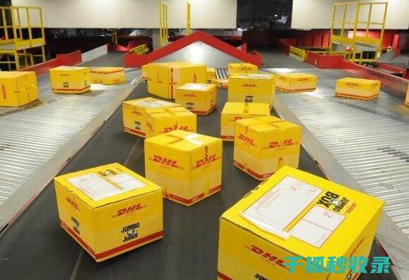 快递单号去除技巧：保护个人信息的最佳实践 (快递单号去除空格键怎么弄)