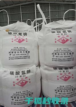 小苏打的10个妙用，让你的家庭护理更加轻松 (小苏打的100个生活妙用)
