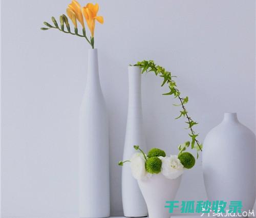 清洁花瓶的艺术：将日常家务变成一种享受 (清洗花瓶)