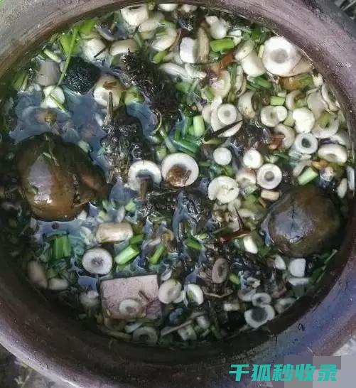 DIY花肥：简单步骤教你制作优质肥料 (diy花肥)