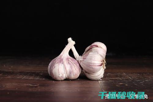 冬季保存大蒜，避免干瘪和发霉的技巧 (冬季保存大蒜怎么保存)