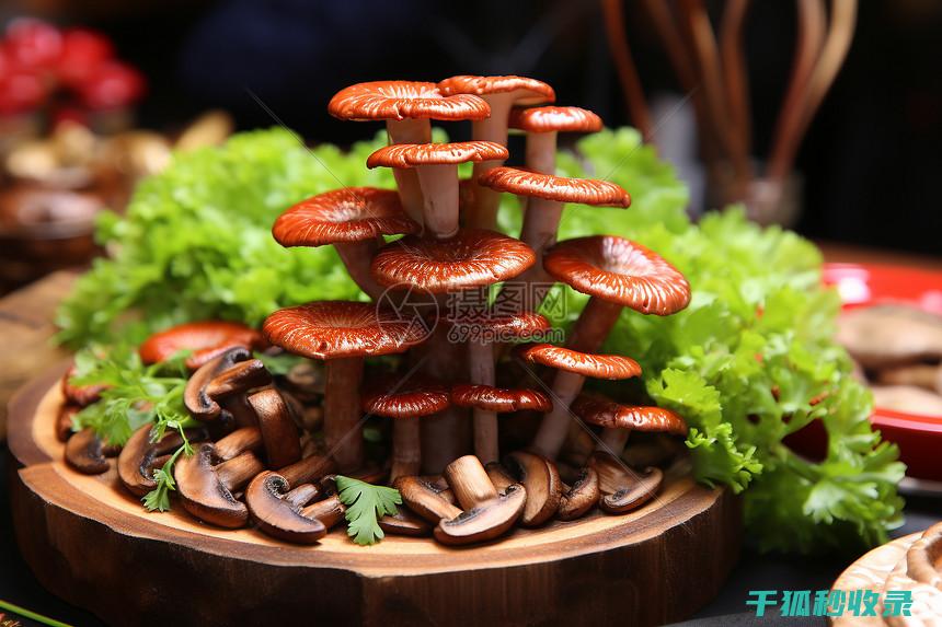 食用油储存不当的风险与正确保存方法 (食用油储存不够怎么办)