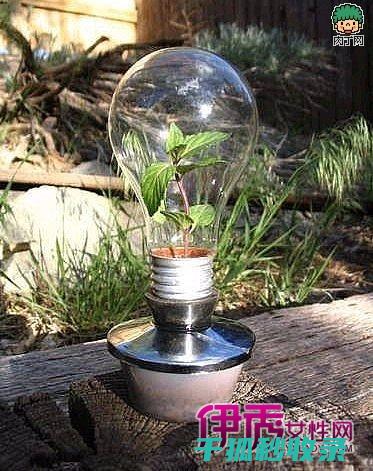 DIY灯泡除尘：保持灯具清洁的小窍门 (废灯泡diy)