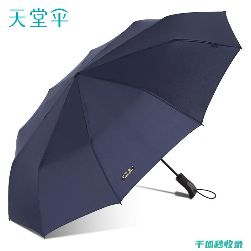 雨伞生锈难题？这里有全面的除锈方案 (雨伞生锈难题解决方案)