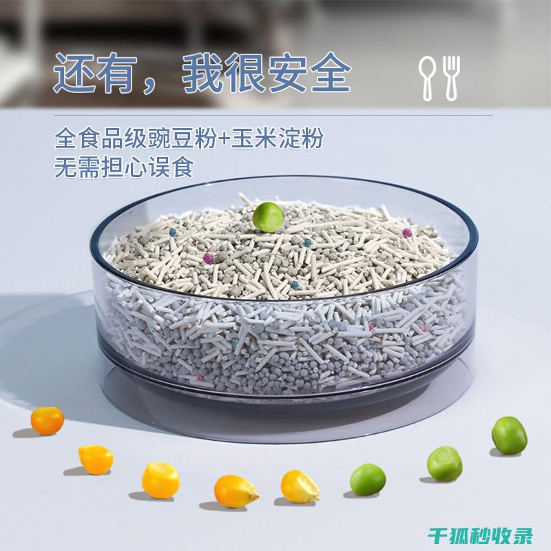 猫砂除臭妙招大揭秘：轻松解决宠物异味问题 (猫砂除臭妙招有哪些)