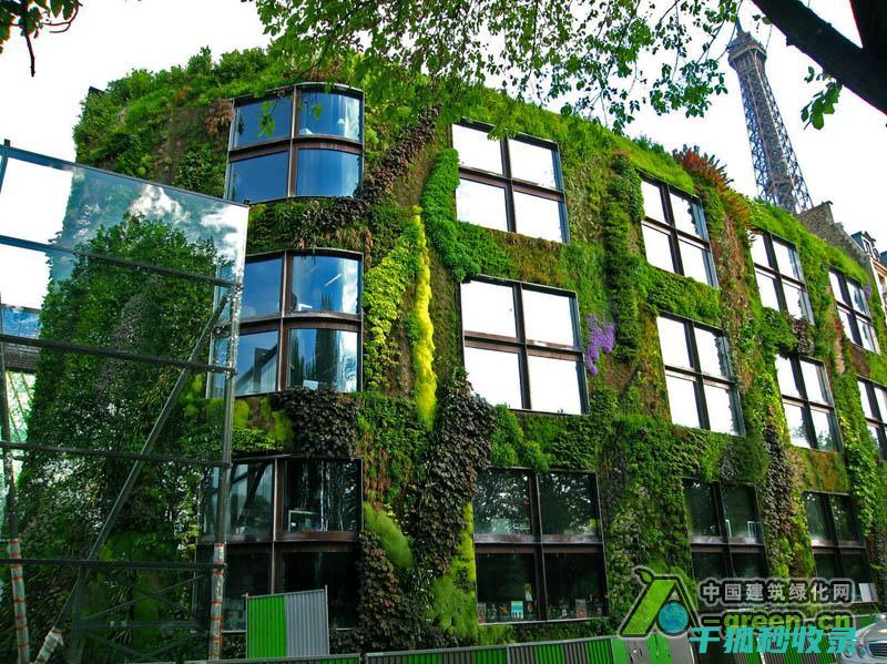 垂直空间利用：从传统到未来的转变 (垂直空间利用:多层家庭住宅设计方案背景)