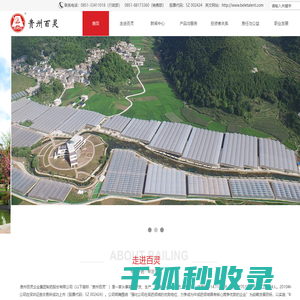 贵州百灵企业集团制药股份有限公司