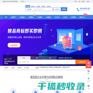 专业企业服务